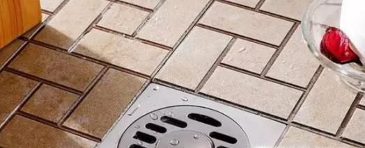 卫生间总有多足小黑虫怎么办