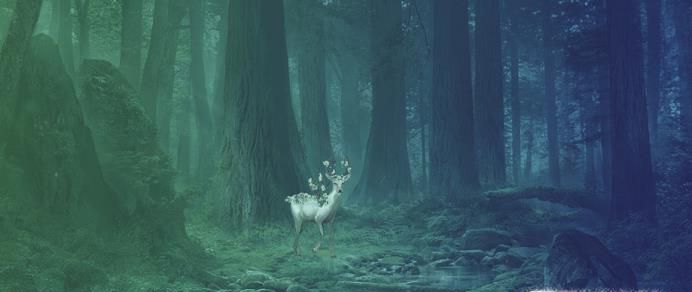 介绍几个有寓意的网名或笔名