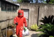 怎样安全快捷消灭马蜂窝