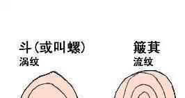 你手上有多少个螺,决定你的性格!