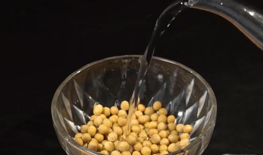 简单自发黄豆芽的方法