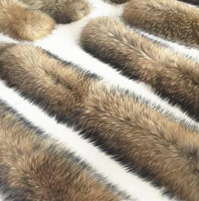 狐狸毛和貉子毛区别