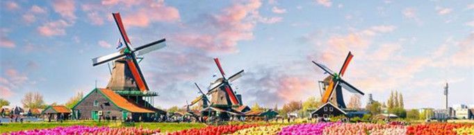 荷兰为什么要改名为尼德兰？