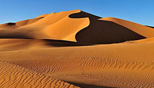 世界最大的沙漠