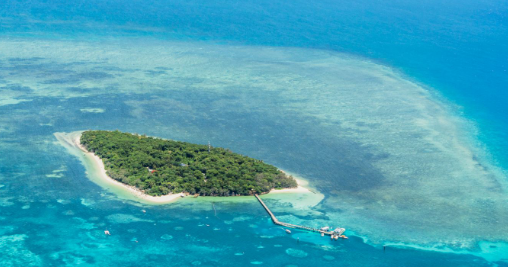 世界上最大的海