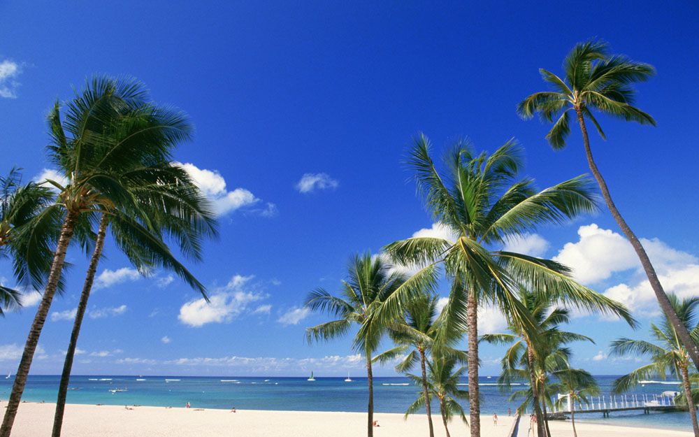 世界上最危险的海滩