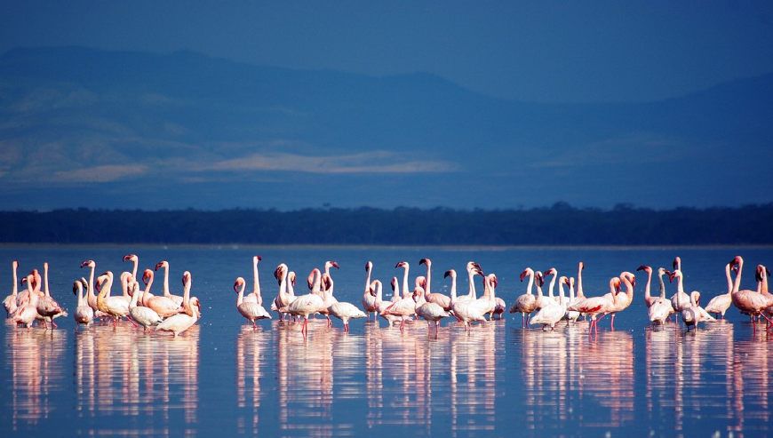 世界上最大的淡水湖