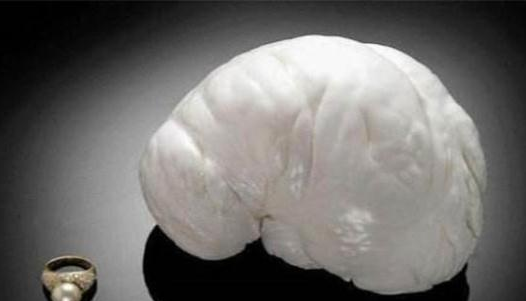 世界上最大的珍珠