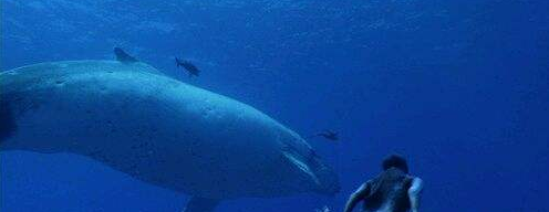 世界上有没有美人鱼