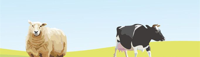 牛和羊为什么在春天特别容易得气胀病？