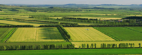 中国最大的平原在哪里?