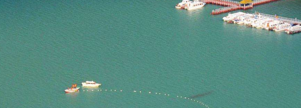 喀纳斯湖水怪真相