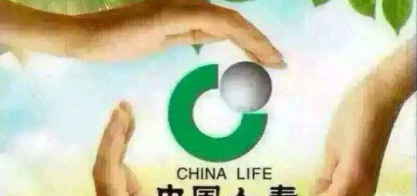 中国十大寿险排行榜