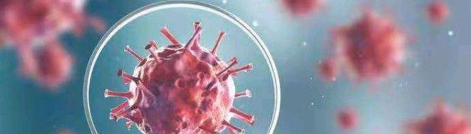 2019-nCoV什么时候结束？