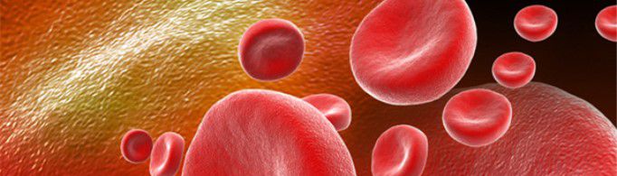 血浆和血液的区别是什么？