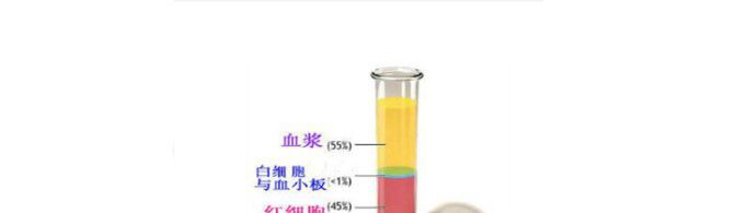 血浆的作用是什么？