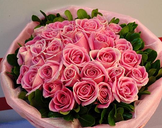 粉玫瑰代表什么