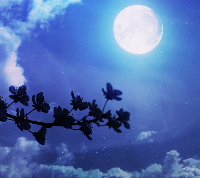 春宵一刻值千金的意思是什么？