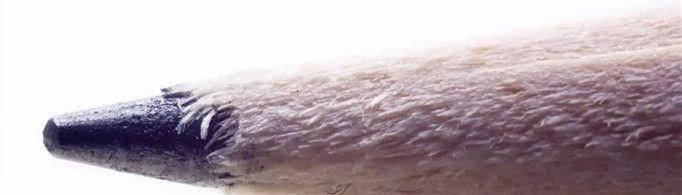 铅笔芯为什么有的硬有的软？