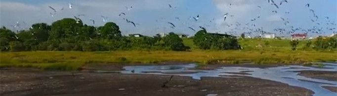 为什么会有天然沥青湖？