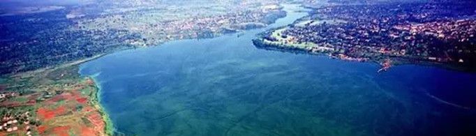 为什么尼罗河会变色？