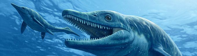 为什么鱼龙不是恐龙？