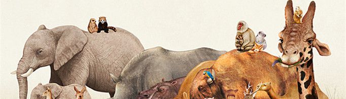 为什么陆地上大动物的心跳要比小动物慢？