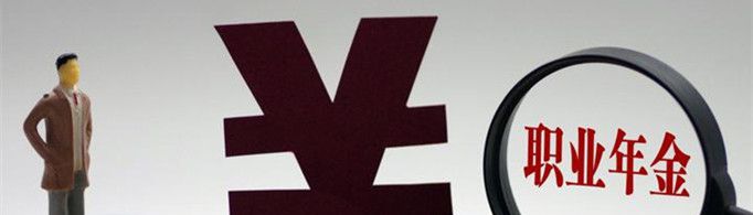 职业年金是什么东西？