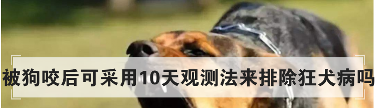 被狗咬后可采用10天观测法来排除狂犬病吗