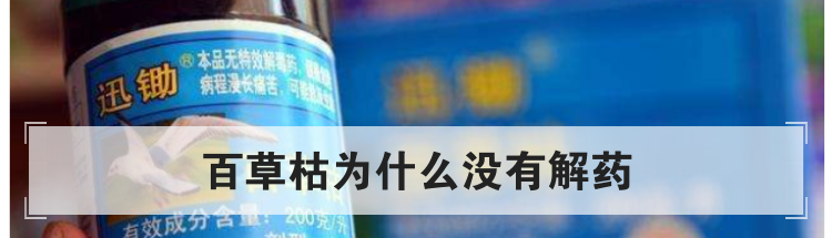 百草枯为什么没有解药