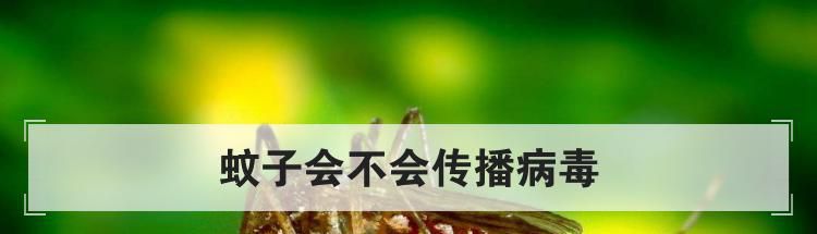 蚊子会不会传播病毒