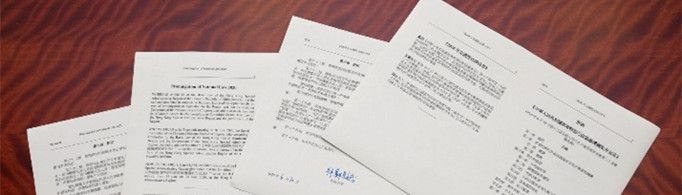 香港国安法是什么意思？