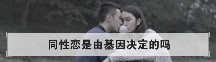 同性恋是由基因决定的吗
