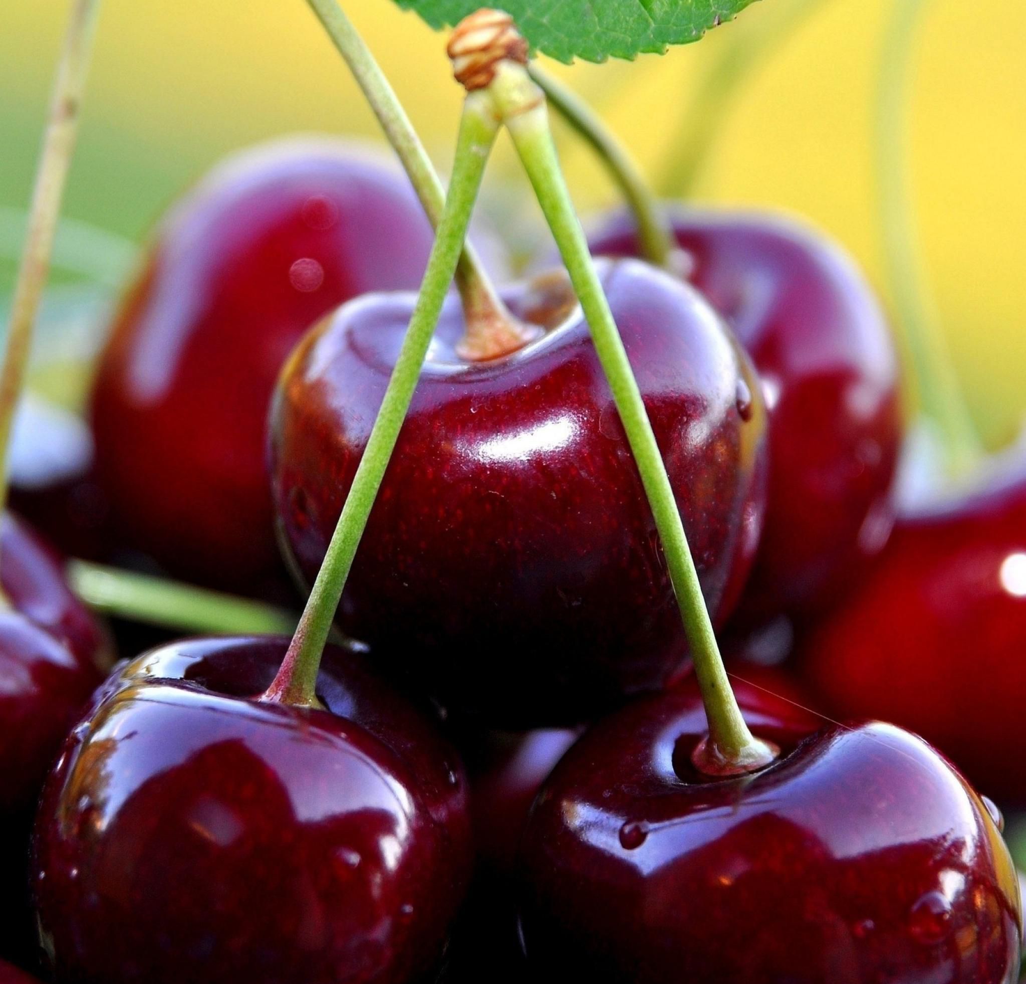 车厘子和樱桃是什么关系？