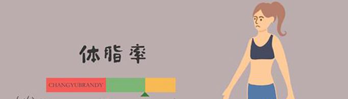 体脂怎么算？