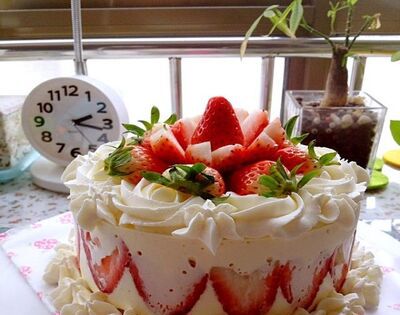 六寸蛋糕多大？