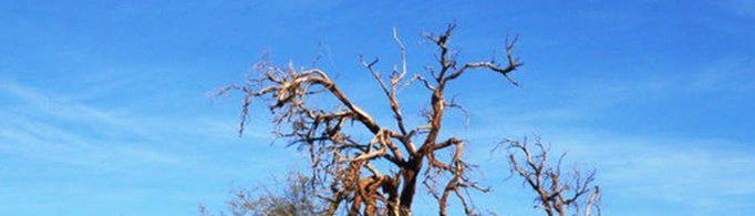 世界八大禁地是哪？