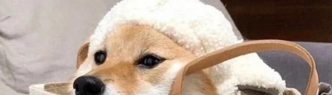 非常幽默搞笑的昵称有哪些？