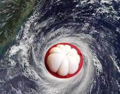 山竹台风是哪一年发生的？