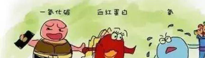 医学上的hbco是什么意思？