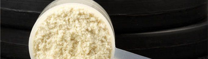 蛋白粉适合什么人吃？