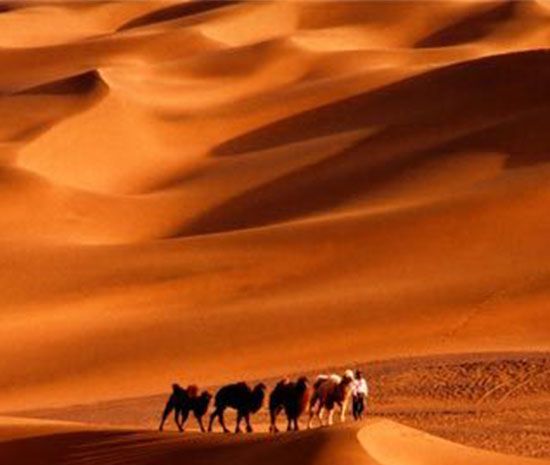 丝绸之路开辟于什么朝代？