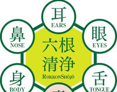 六根清净是哪六根？