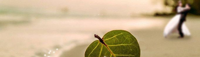 夫妻相差几岁最好？