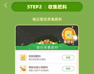 芭芭农场种水果一共几个阶段？