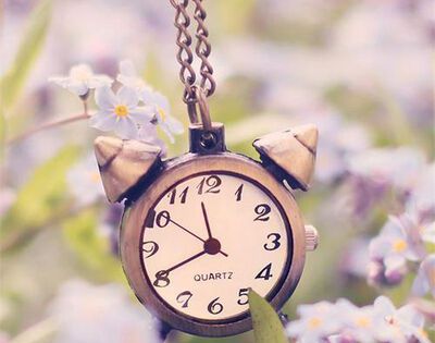 分钟的缩写是min还是mins？