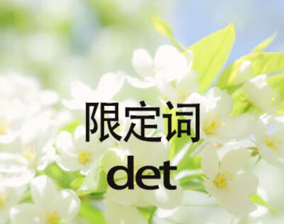 det是什么词性的缩写？