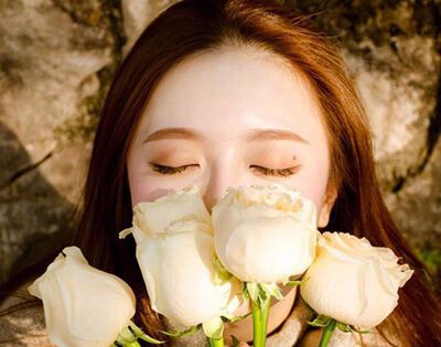 女士的英文缩写是什么？