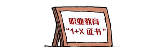 1+x证书是什么证书？