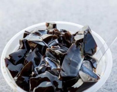 龟苓膏里真的有乌龟么？